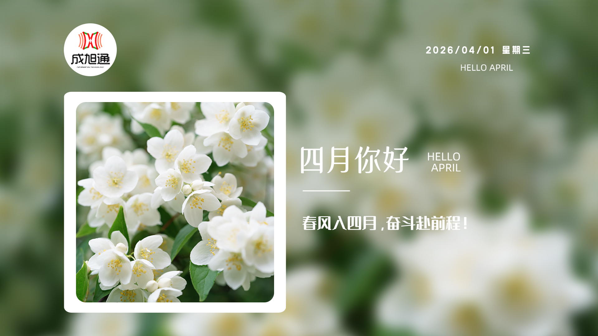 四月生活美学技巧，你知道吗？